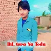 About Dil Tero Na Todu Song