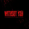 Without You