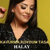 About Kavurma Koydum Tasa Halay Song