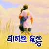 About Pagal Kalu Song