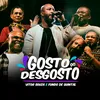 About Gosto Do Desgosto Song