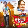 About Hai Tamanna Yahi Tumhe Dulhan Banaye Song