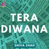 Tera Diwana