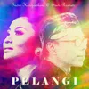 About Pelangi Song