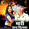 About मारी जानू दिलबर Song