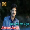 About Dila Na Ro Oye Song
