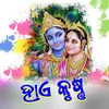 About Hae Krishna Song