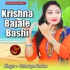 About Krishna Bajale Bashi Song