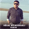 About Yarım Song