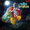 About Radha Krishna Song