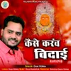 About Kaise Karanv Bidai Song