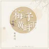 梅子黄时雨