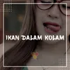 About Ikan Dalam Kolam Song