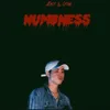 About Numbness Song