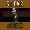 Sitar Instrument