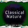 About Classical Nature inst Song