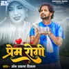 About Prem Rogi Song