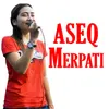About Aseq Merpati Song