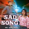 About Sad Song Song