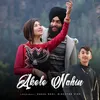 About Akele Nahin Song