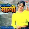 About Dada Tor Sali Song