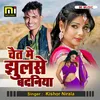 About Chait Me Jhulse Badaniya Song