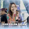 Ikan Dalam Kolam