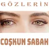 About Gözlerin Song