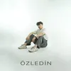 About Özledin Song