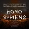 About Homo sapiens Song