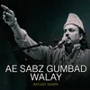 About Ae Sabz Gumbad Walay Song