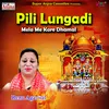 About Pili Lungadi Mela ME Kare Dhamal Song