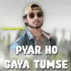 About Pyar Ho Gaya Tumse Song