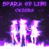 About SPARK OF LIFE Song