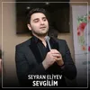 About Sevgilim Song