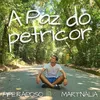 About A Paz do Petricor Song