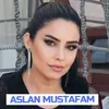 About Aslan Mustafam Song