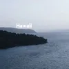 About Hawaii Song