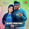 About Mewati Bhaichara Song