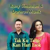 About Tak Ku Tahu Kan Hari Esok Song