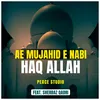 About Ae Mujahid E Nabi Haq Allah Song