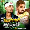 About Bihari Nahi Sahi Judai Ke Song