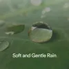 Tranquil Shower Sounds: A Calming Oasis