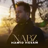 About Nabz Song