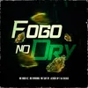 About Fogo No Dry Song