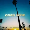 About RODEO DRIVE Song