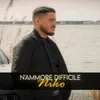 About N'ammore difficile Song