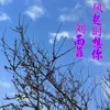 About 风起时想你 Song