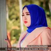 About Biarlah Ku Bawa Kecewa Song