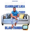 About Izambane Lika Pondo Song